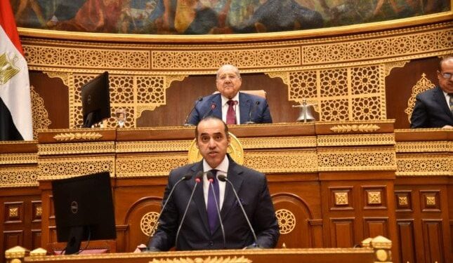 مجلس الشيوخ يرسل برقية دعم للرئيس السيسي