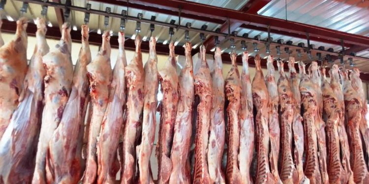 ضبط 3 جزارين يذبحون خارج المجازر الحكومية في كفر الدوار بالبحيرة