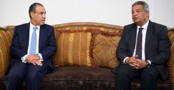 وزير الخارجية: المؤسسات الإعلامية تلعب دورا هاما في توعية المجتمع بالتحديات الخارجية التي تواجهها مصر