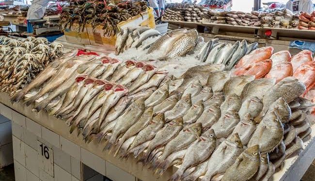 إقبال على شراء الأسماك في دمياط مع ثبات الأسعار