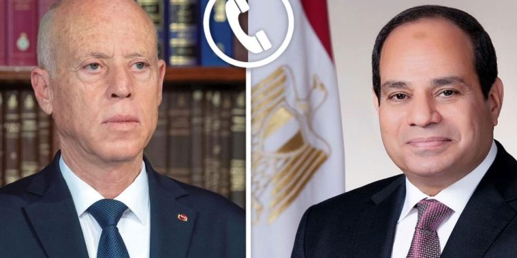 السيسي وقيس سعيد يبحثان تعزيز التعاون ويدعمان إعادة إعمار غزة دون تهجير