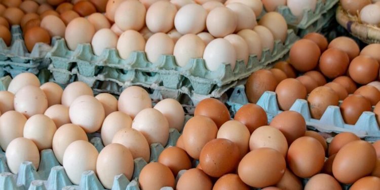 ارتفعت أسعار البيض في الولايات المتحدة إلى مستوى قياسي جديد، مسجلة 6.23 دولار للدزينة