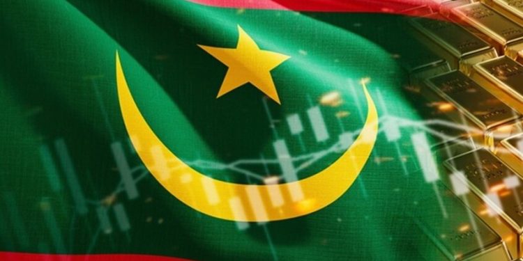 موريتانيا.. مقتل منقبين اثنين بقصف طائرة مسيرة في “كارزرز”